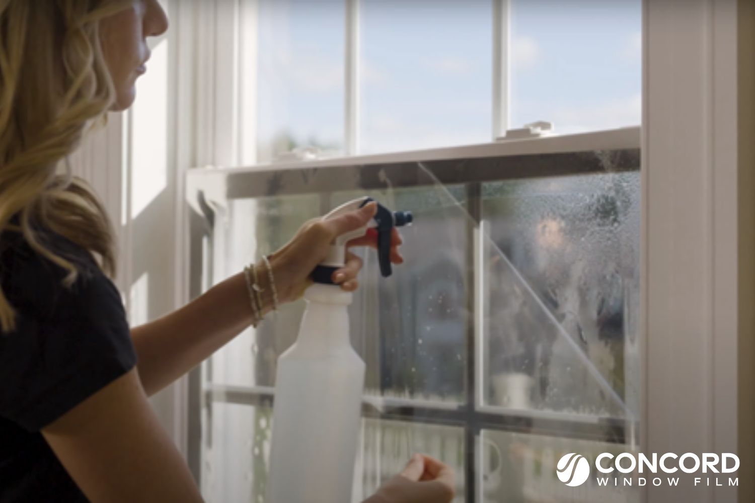 Woman removing a window film liner from a piece of window film
