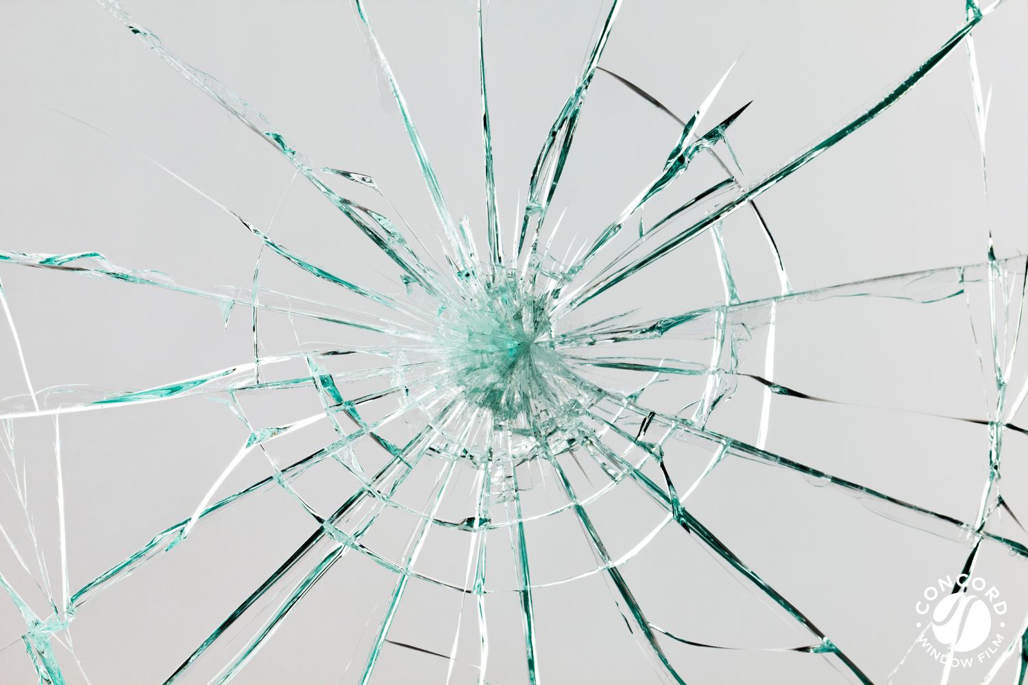 Photo of a broken glass window for a post on safety window film.