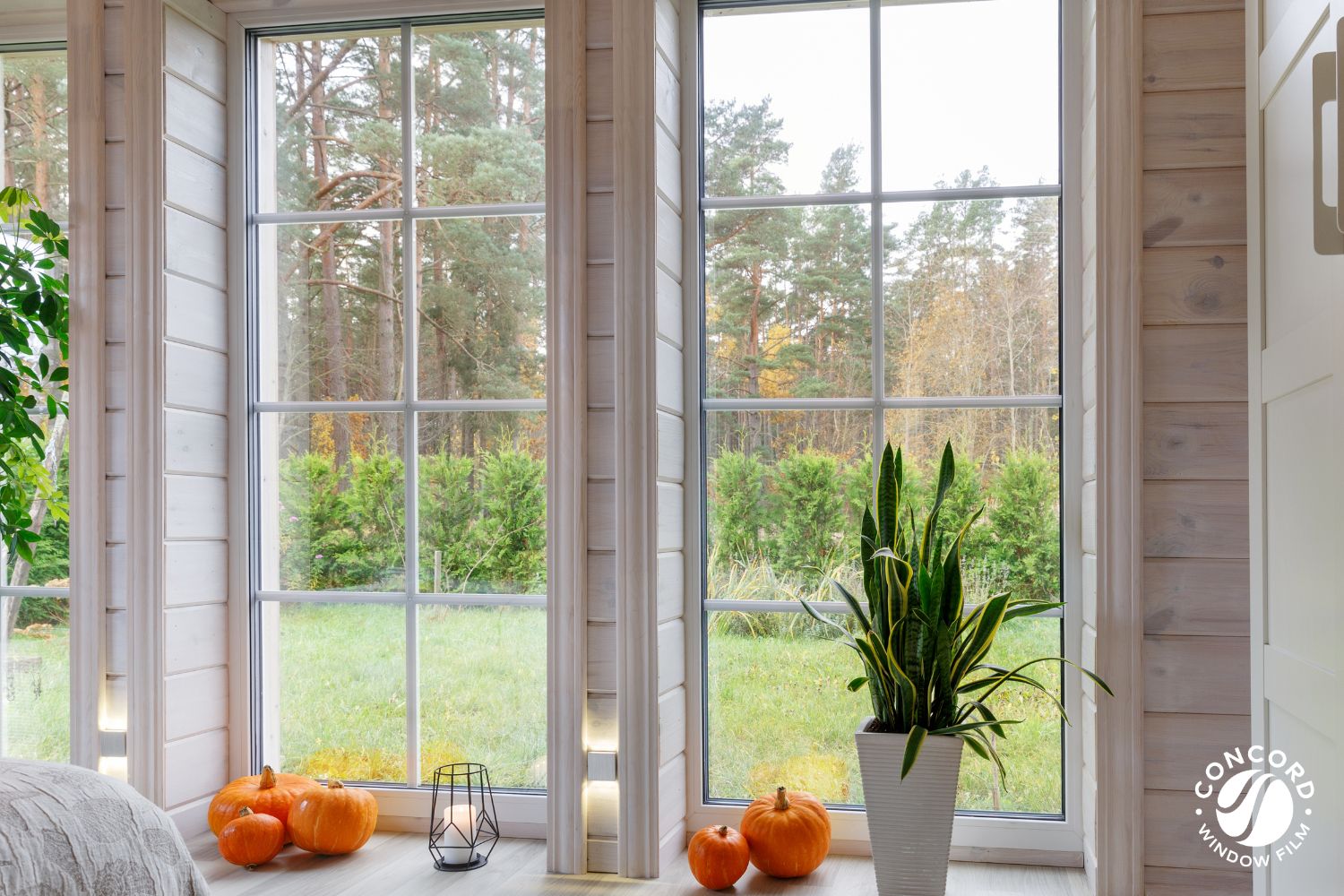 Photo of windows with fall decor for a post entitled give your windows a glow up before the holidays