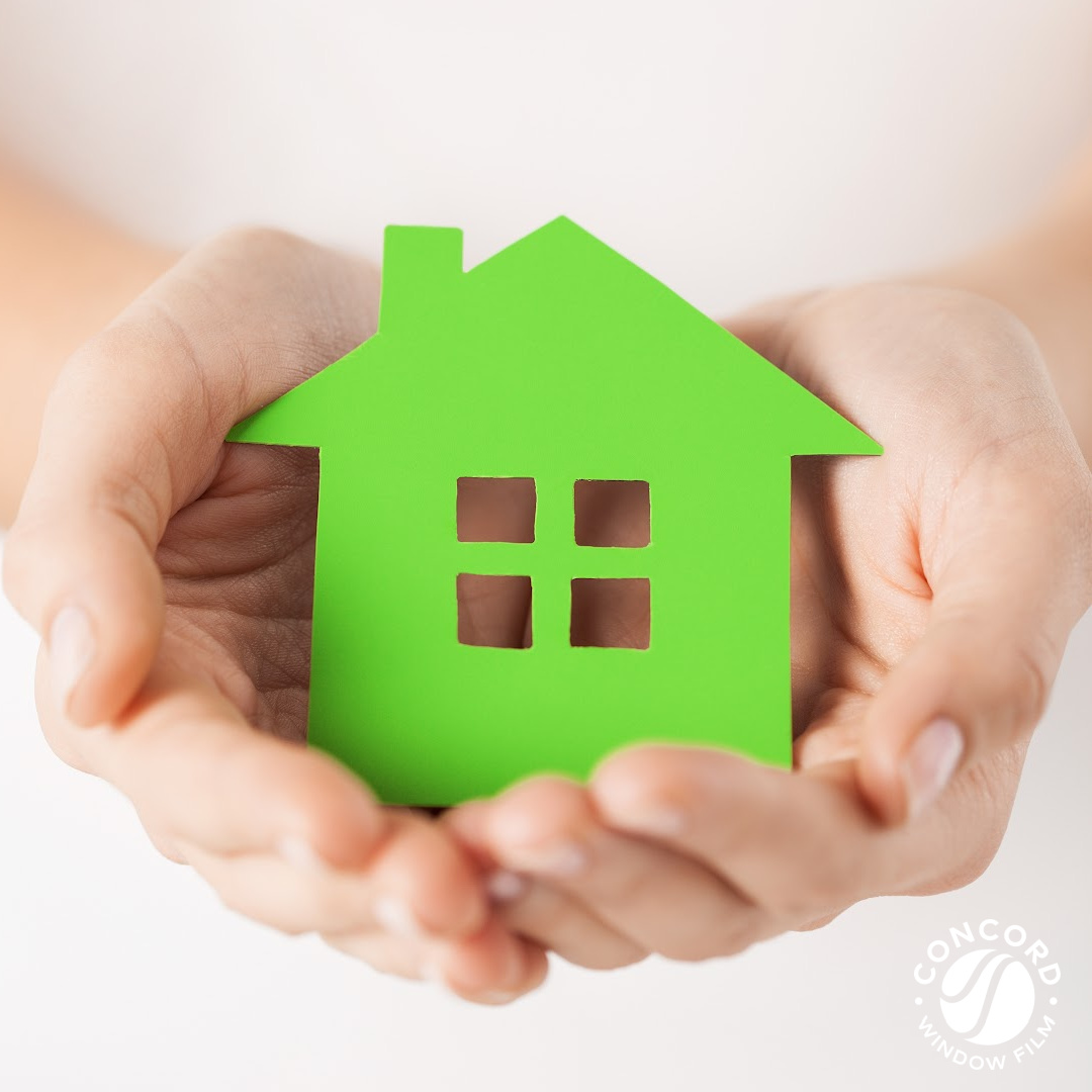 Photo of hands holding a small green home for a post asking is window film sustainable