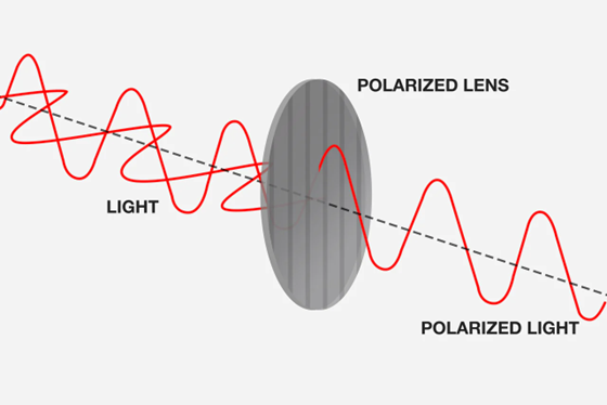 Chart showing how polarized lenses work created by Revant Optics