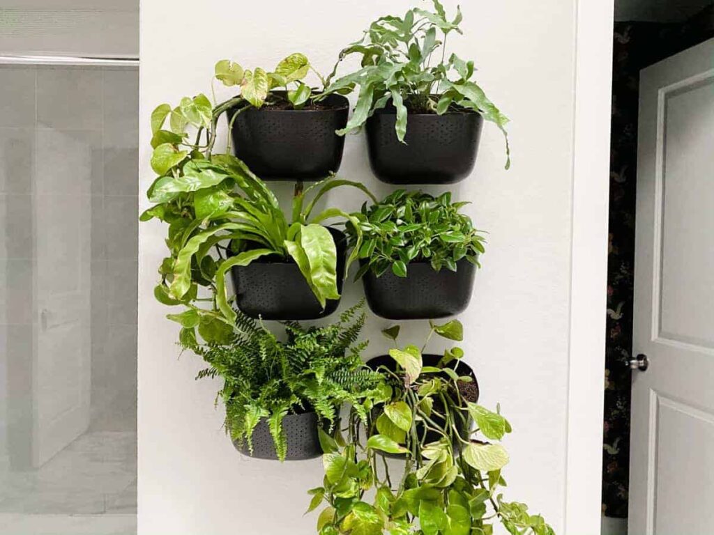Photo Of A Bathroom With A Wall Of Plants For A Blog Post Entitled Transform Your Home In 2025