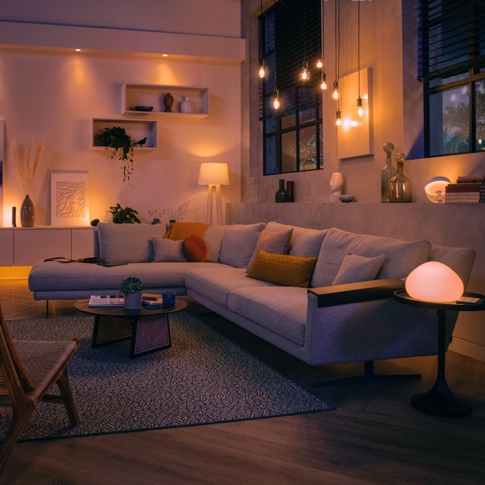 Philips Hue Lighting -