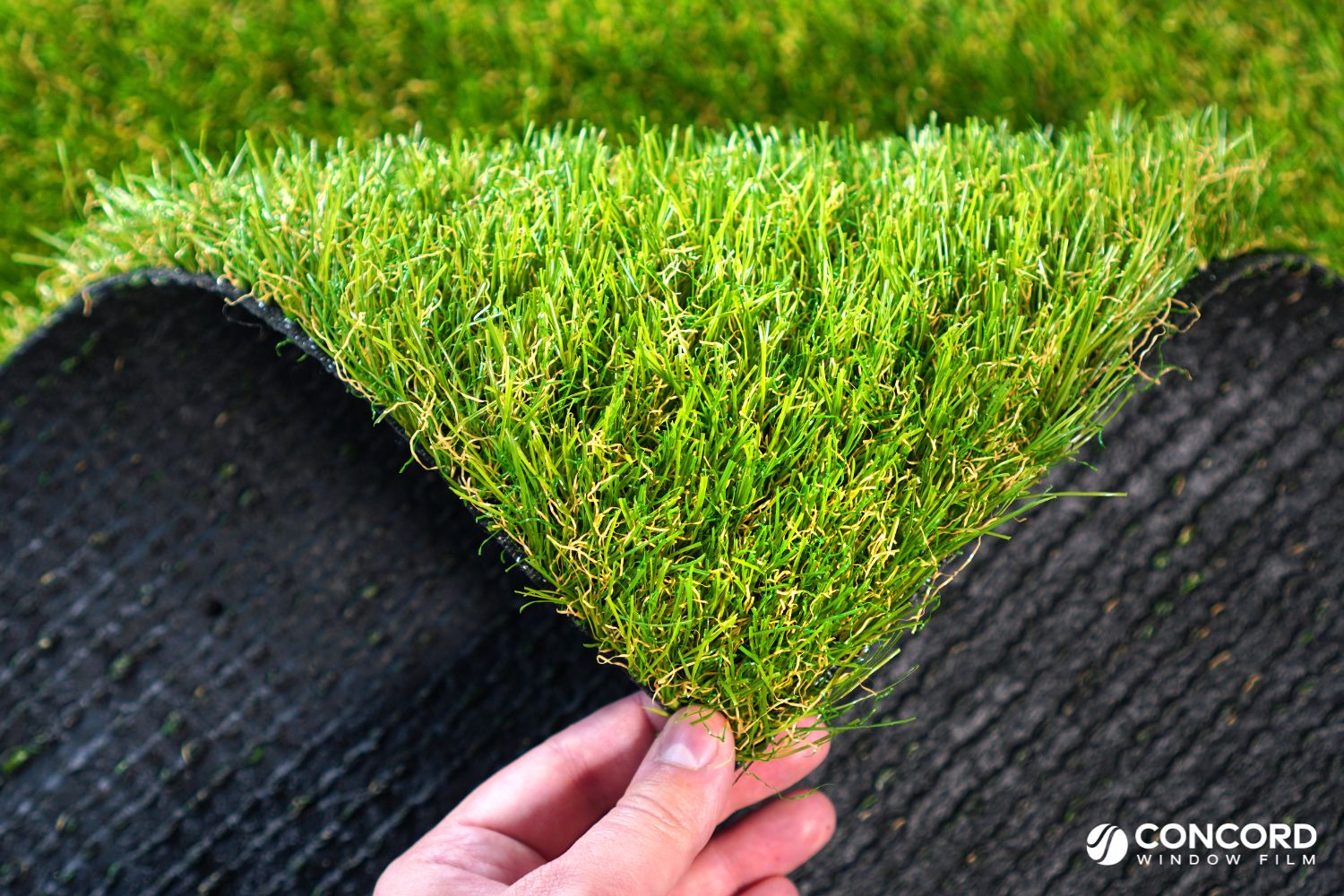Photo of artificial turf for an article about melting turf because of reflected solar energy.